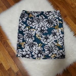 Ann Taylor Skirt, 14P